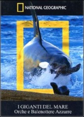 Copertina  I giganti del mare : orche e balenottere azzurre [videoregistrazione]
