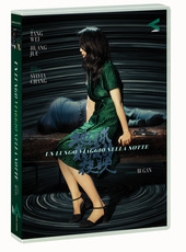 Copertina  Un lungo viaggio nella notte [videoregistrazione]
