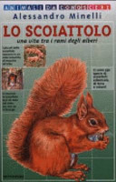 Copertina  Lo scoiattolo : una vita tra i rami degli alberi