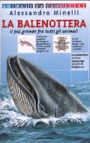 Copertina  La balenottera : il più grande fra tutti gli animali