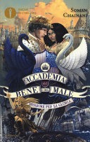 Copertina  Missione per la gloria