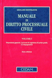 Copertina  Manuale di diritto processuale civile