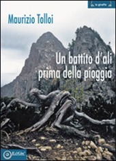 Copertina  Un battito d'ali prima della pioggia