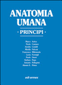 Copertina  Anatomia umana : principi
