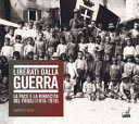 Copertina  Liberati dalla guerra : la pace e la rinascita del Friuli (1918-1919)