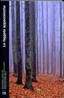 Copertina  Le faggete appenniniche : avanguardie e relitti di foresta continentale