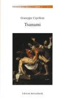 Copertina  Tsunami : gli insegnamenti del Santo Padre e le riflessioni di un laico