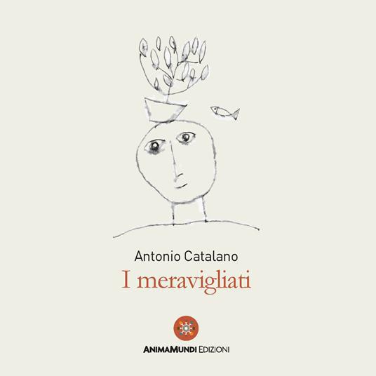 copertina I meravigliati
