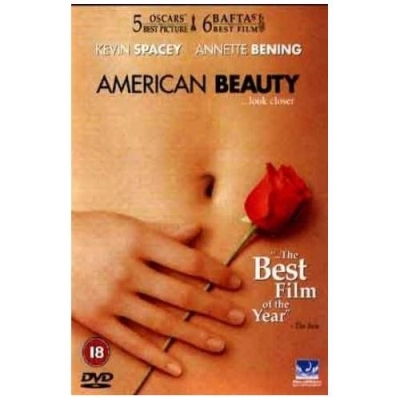 Copertina  American beauty [Videoregistrazione]