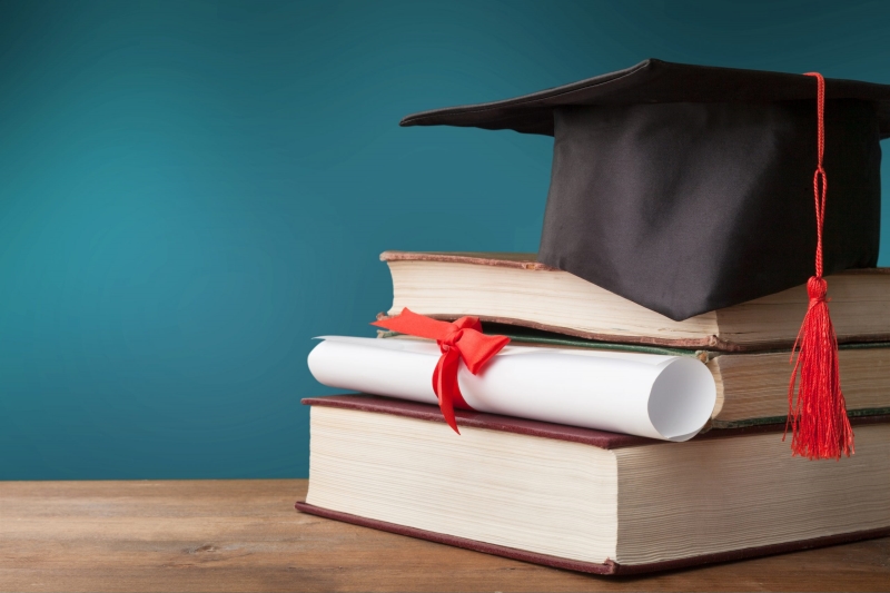 Copertina  L'approccio hla ai sistemi complessi : prospettive e limiti : tesi di laurea