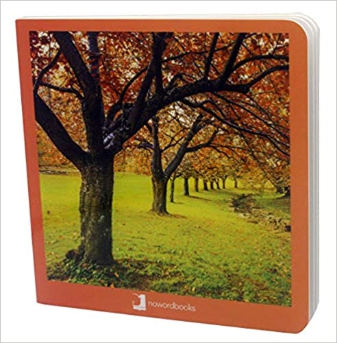 Copertina  Otoño