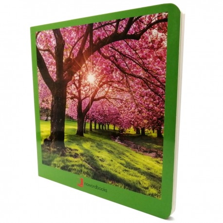 Copertina  Primavera