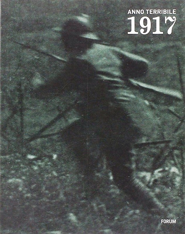 Copertina  1917, anno terribile : i soldati, la gente: reportage fotografici e cinematografici italiani e austro-tedeschi