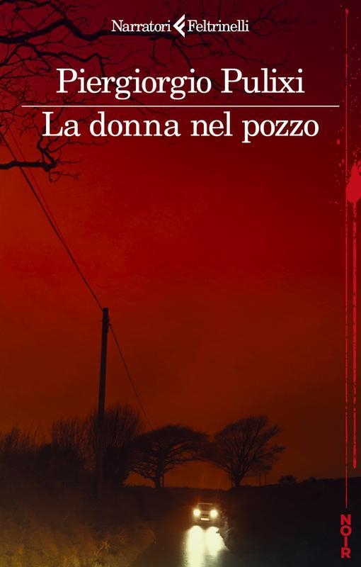 Copertina  La donna nel pozzo