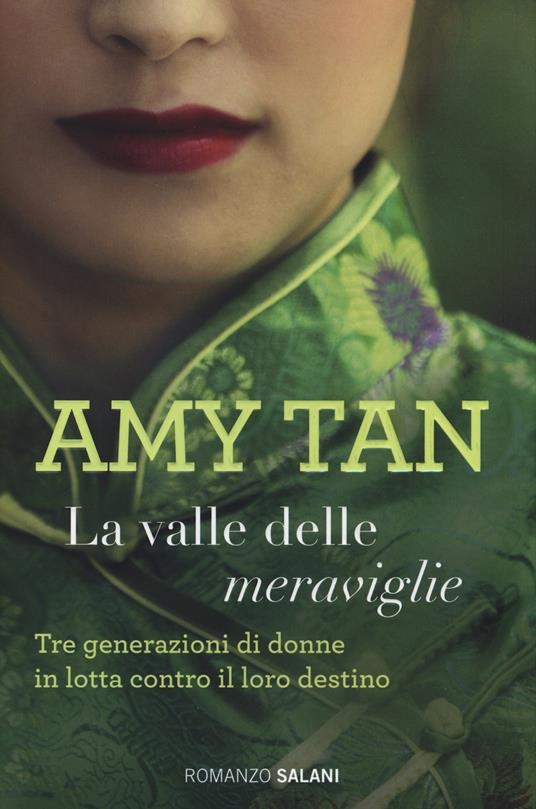Copertina  La valle delle meraviglie : romanzo